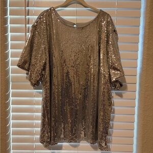Lane Bryant Silver Sequin Women’s Top